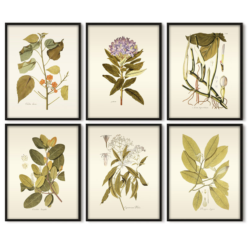Office Furniture York - Pianta erbacea Wall Art Painting Vintage