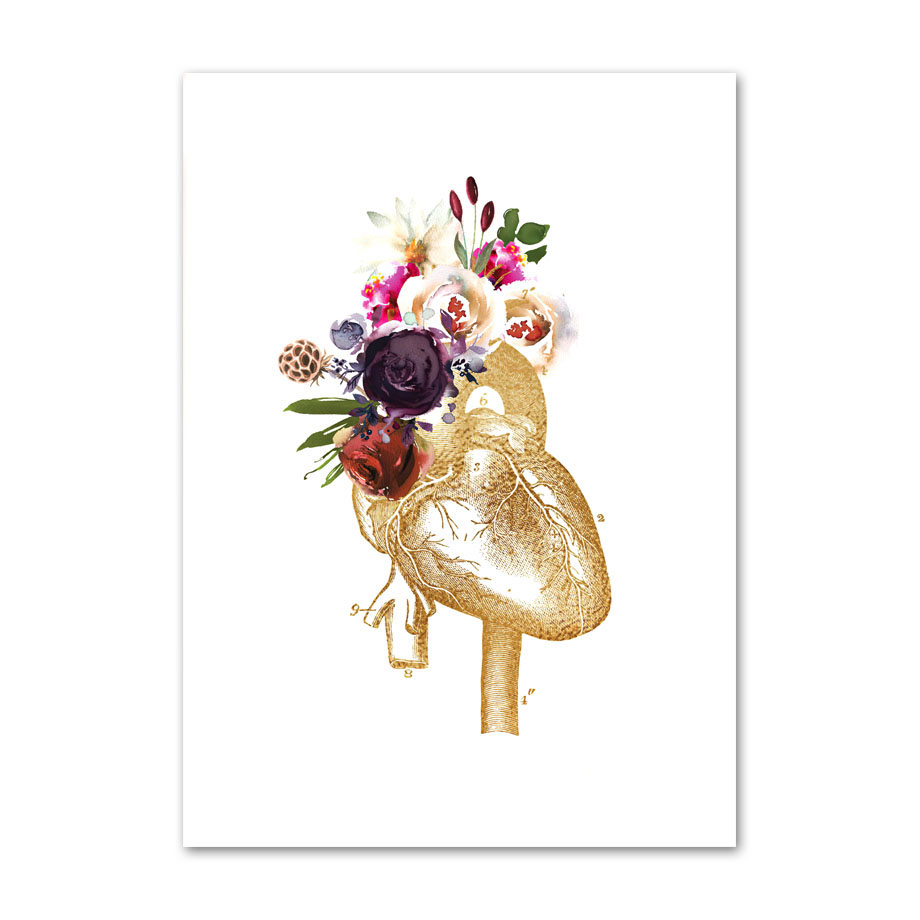 Anatomia umana Viscera muscola - Office Furniture York recensione e prezzo