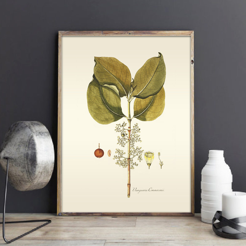 Pianta erbacea Wall Art Painti - Office Furniture York recensione e prezzo