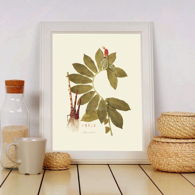 Pianta erbacea Wall Art Painti - Office Furniture York recensione e prezzo