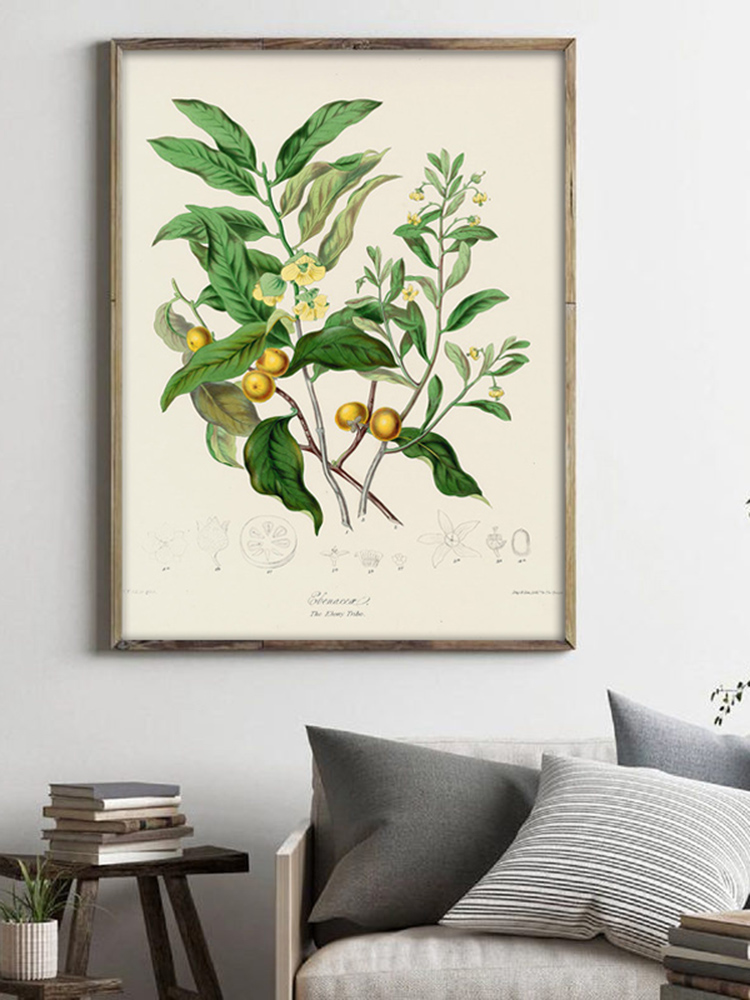 Pianta erbacea Wall Art Painti - Office Furniture York recensione e prezzo